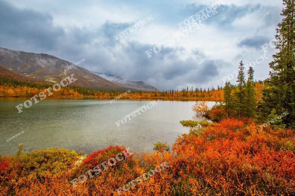 На фотографии изображено горное озеро в Хибинах, окружённое осенним лесом и кустарниками ярких оттенков. На заднем плане видны горы и облачное небо, подчёркивающее суровую красоту северного пейзажа. Картина природы передаёт гармонию осеннего ландшафта Кольского полуострова.